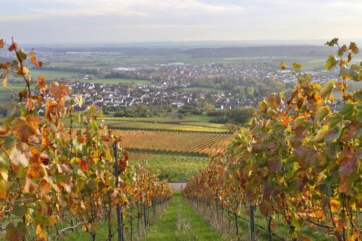 Landidyll zum Kennenlernen / © Michael Meyer