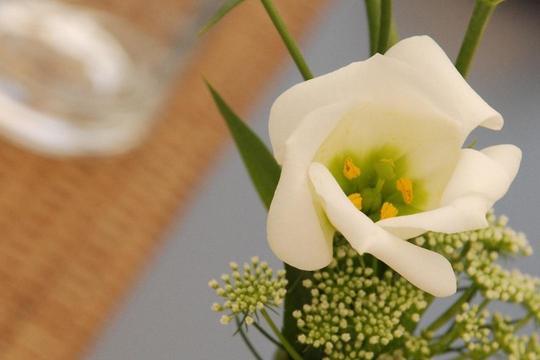 Blumendeko / © Bärbel Bramm